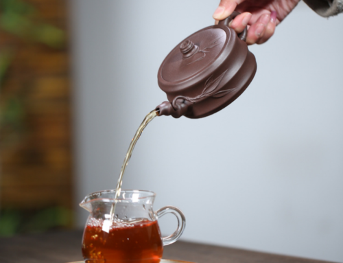 Yixing Clay Teapot: History, Craftsmanship, and Brewing Mastery