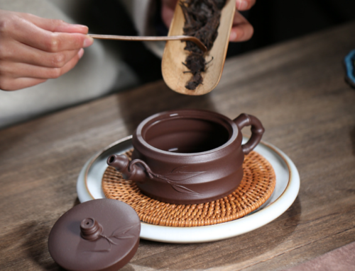 Common Myths and FAQs about Clay Teapots
